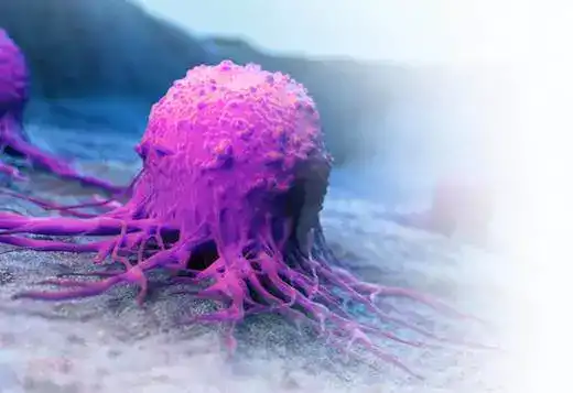 Foto Jenis Kanker Angcanglie